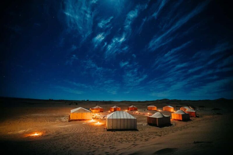 Doha: Full Day Desert Safari with Lunch/Dinner in Desert. - Final Thoughts: Who Is It Best For?