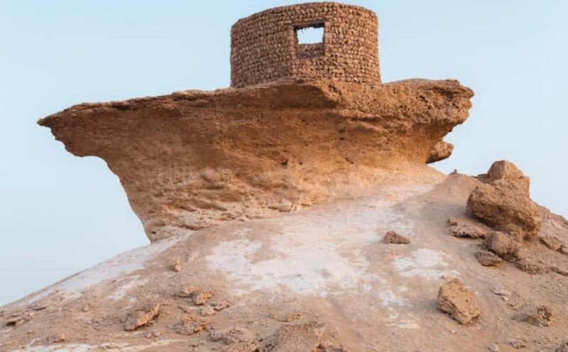 Doha: Full-Day North & West Qatar Tour with Al Zubara Fort - Discovering Qatar’s North & West: A Full-Day Adventure