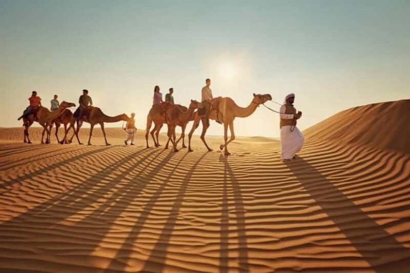 Doha: Golden Horizons: Desert Sunrises and Sunsets - Key Points