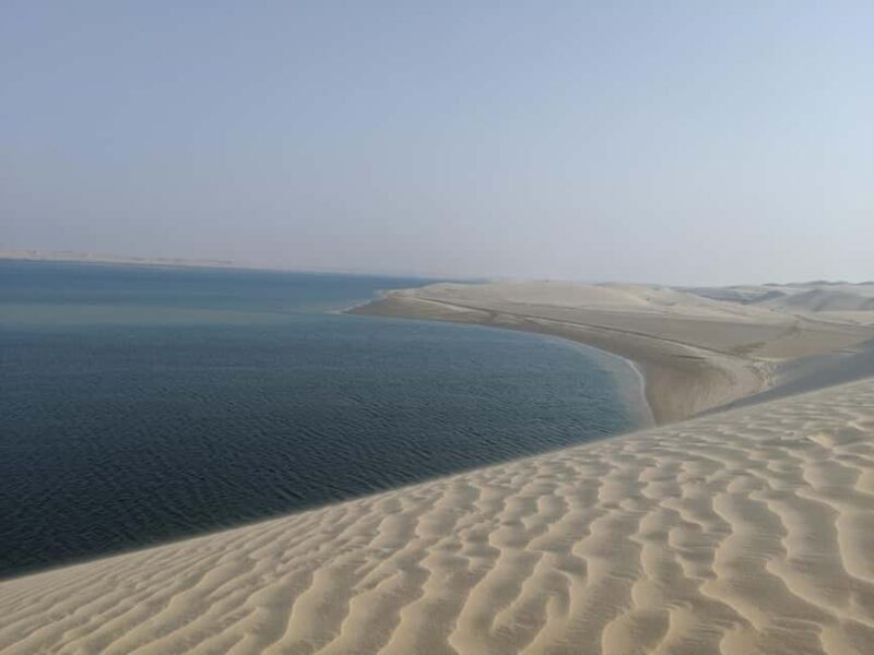 Doha: Half Day Desert Safari (4 hrs) - Key Points