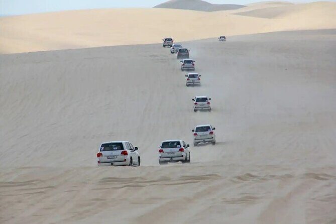 Doha Half Day Desert Safari Dune Bashing CamelRide & Sandboarding - Practical Considerations