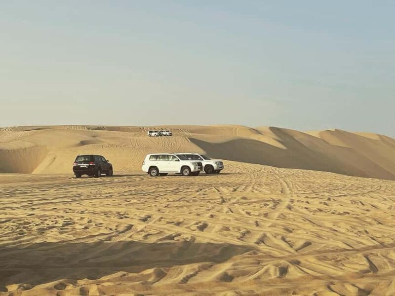 Doha: Half Day Desert Safari From Airport/Hotel/Cruise Port - Exploring the Itinerary in Detail