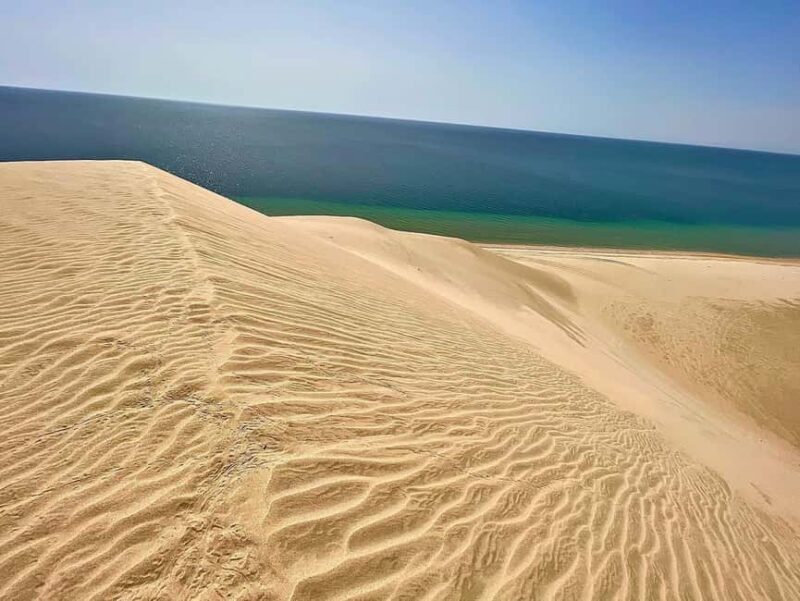 Doha: Half Day Desert Safari From Airport/Hotel/Cruise Port - The Practical Side: What to Expect