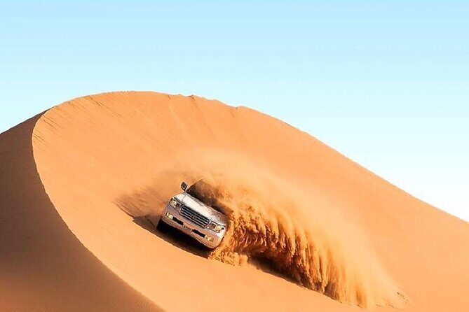 Doha Half Day Desert Safari with Camel Ride and Sand Boarding - An Overview of the Tour Experience