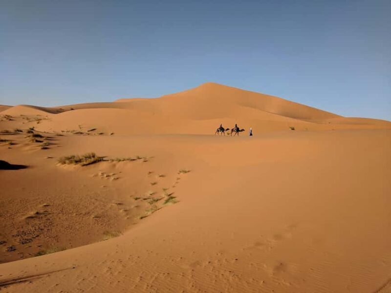 Doha: Half-Day Desert Safari with Camel Ride & Sandboarding - Price and Value
