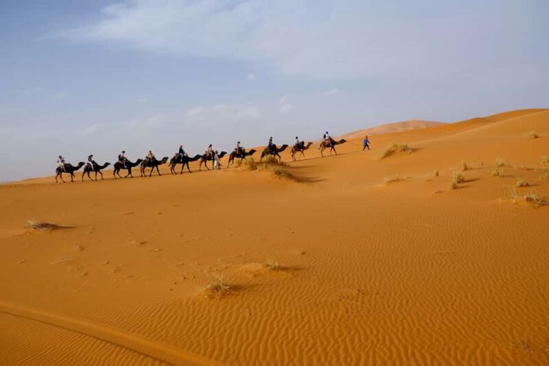 Doha: Half-Day Desert Safari with Camel Ride & Sandboarding - Final Thoughts