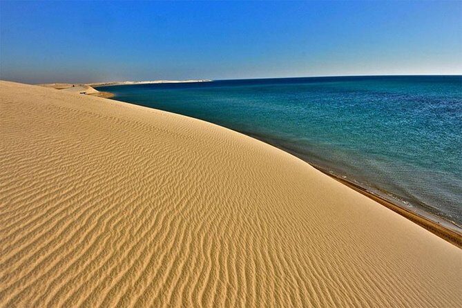Doha : Half Day Desert Safari With SandBoarding and Camel Ride - The Itinerary: What You’ll Really Experience