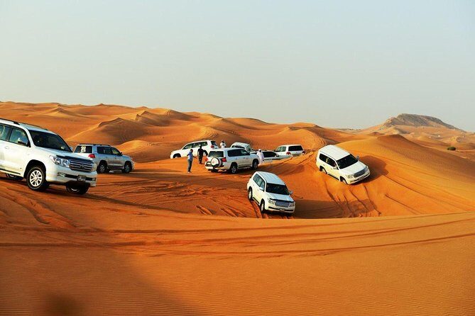 Doha : Half Day Desert Safari With SandBoarding and Camel Ride - The Value Proposition: Is It Worth It?