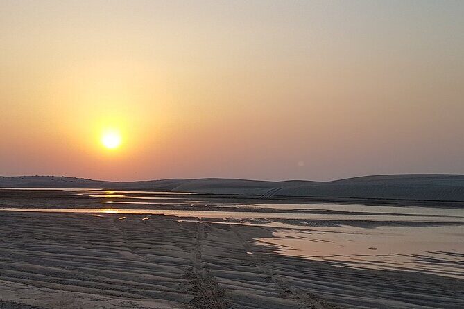 Doha : Half Day Desert Safari With SandBoarding and Camel Ride - Final Thoughts: Who Will Love This Tour?
