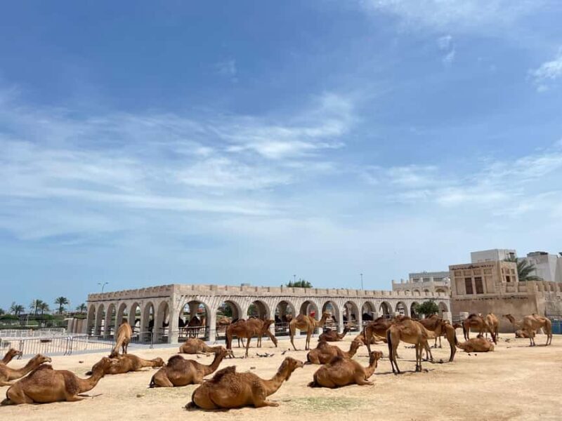 Doha Highlights Guided Tour With Dhow Cruise - Key Points