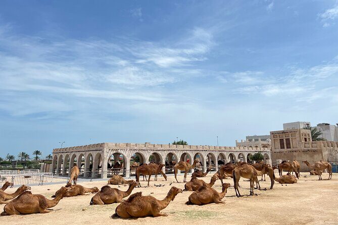 Doha Highlights Guided Tour With Dhow Cruise - Practical Tips for Travelers