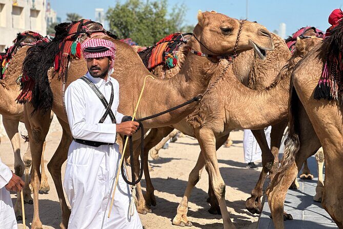 Doha Highlights Private City Tour with Licensed Tour Guide - Who Should Consider This Tour?
