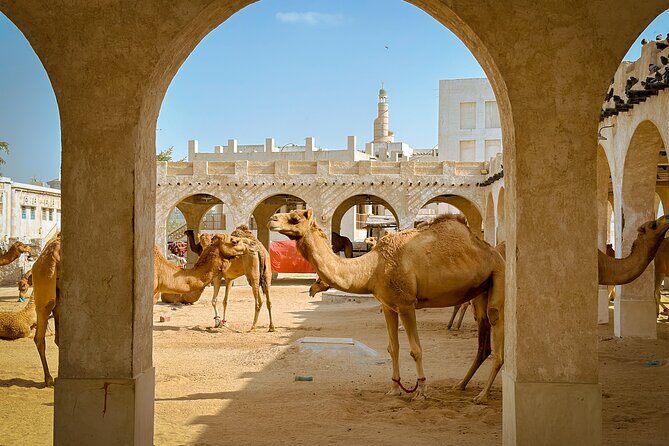 Doha Highlights Private City Tour with Licensed Tour Guide - Frequently Asked Questions