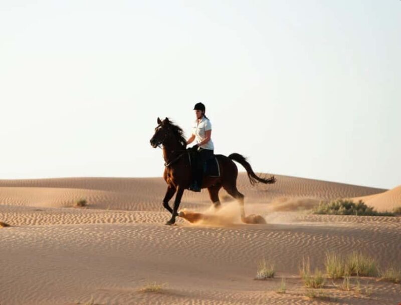 Doha: Horse Riding and Camel Ride Tour - An In-Depth Look at the Doha Horse Riding and Camel Ride Tour