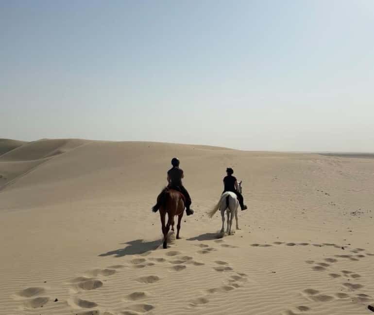 Doha Horseback Riding Adventure in Desert with Transfers - Key Points