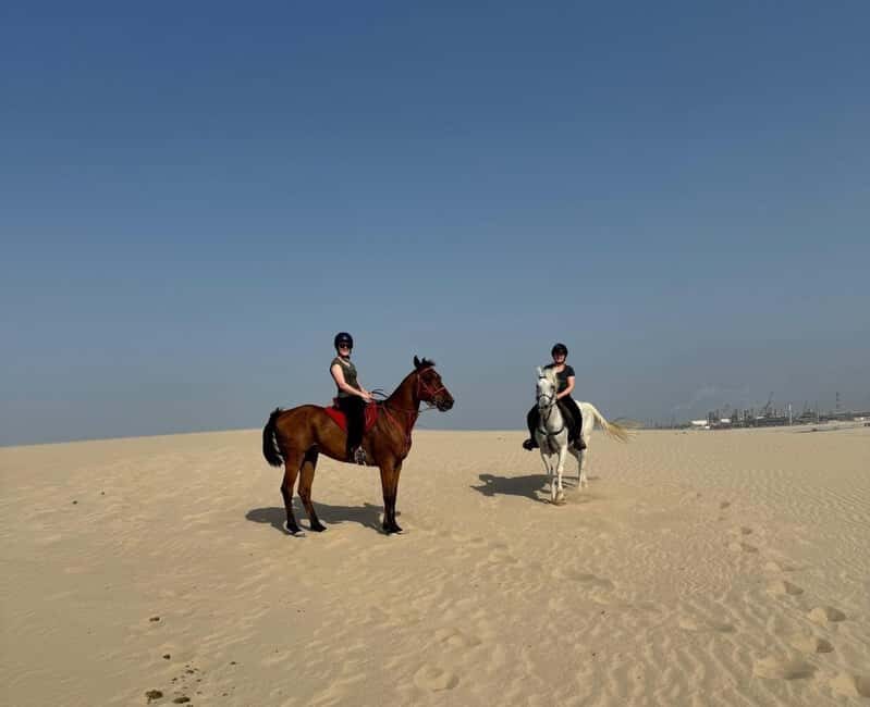 Doha Horseback Riding Adventure in Desert with Transfers - Authenticity and Cultural Significance