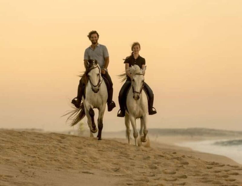 Doha Horseback Riding Adventure in Desert with Transfers - Final Thoughts: Who Should Consider This Tour?