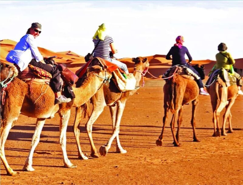 Doha: InlandSea Tour,Camel,Sand Boarding With All Activities - Key Points