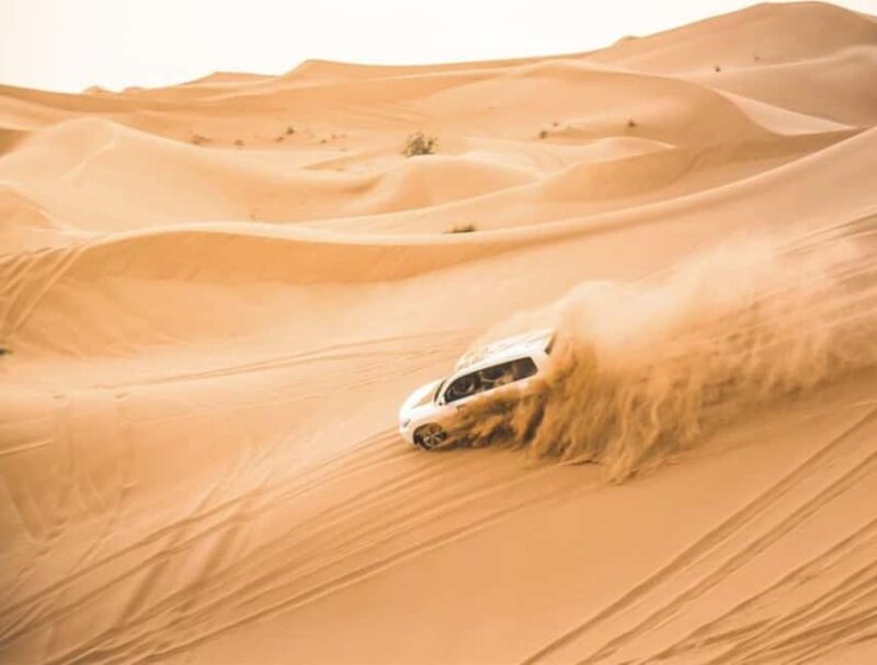 Doha: InlandSea Tour,Camel,Sand Boarding With All Activities - Practical Considerations and Value