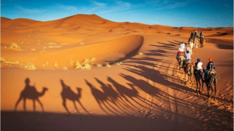 Doha Layover Desert Tour, Camel Ride and Inland sea - Key Points