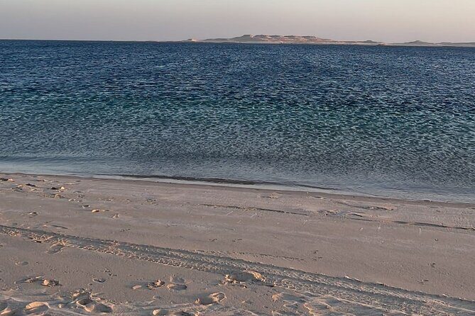 Doha Layover or Doha Stopover Tour with Desert & City Tour - Exploring the Desert and the City: What to Expect