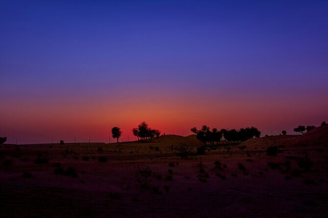 Doha Night Desert Safari Adventure - The Sum Up