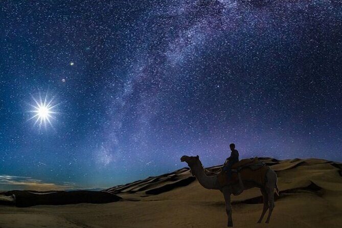 Doha Night Desert Safari Camel Ride Dune Bashing with Transfer - An In-Depth Look at the Doha Night Desert Safari