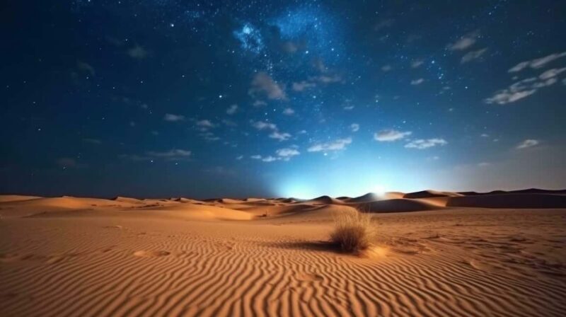 Doha Night Desert Safari Stargazing And Camel Ride - Key Points