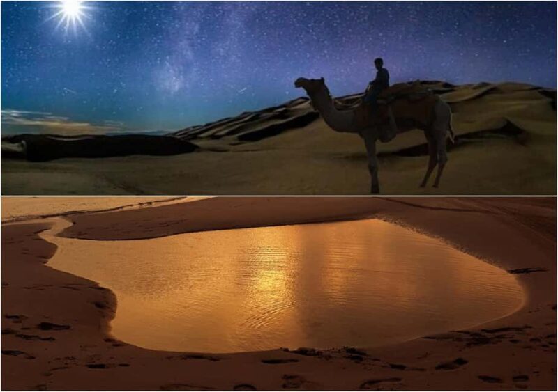 Doha Night Desert Safari Stargazing And Camel Ride - The Sum Up