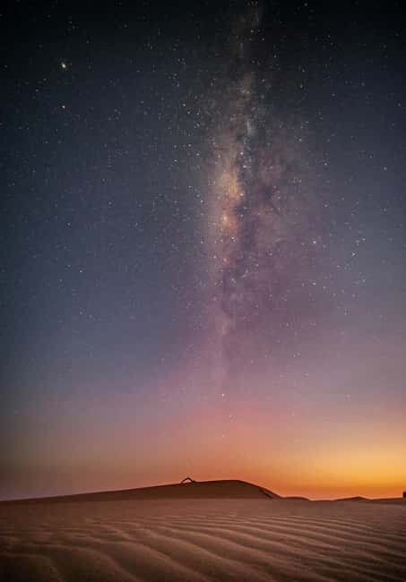 Doha: Night Desert Safari, Stargazing, and Camel Ride - Who Will Love This Tour?