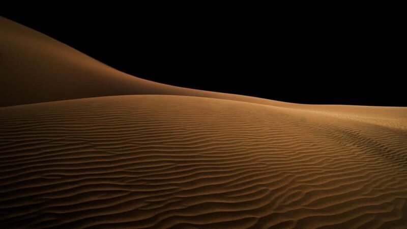 Doha: Night Desert Safari, Stargazing, and Camel Ride - Final Thoughts