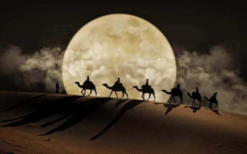 Doha: Night Desert Safari, Stargazing, Dune Driving &Inland - An Authentic Night in Qatar’s Desert: What to Expect