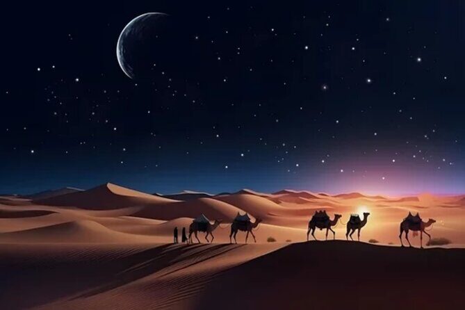 Doha Night Desert Safari, Stargazing, Photography Relaxation - An In-Depth Look at the Doha Night Desert Safari