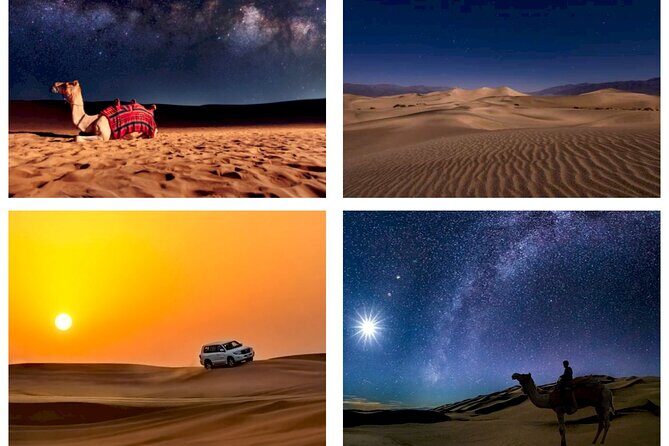 Doha : Night Desert Safari | Transit Safari | Camel ride | Dune Bashing - Key Points