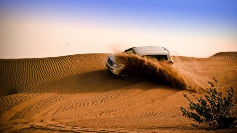 Doha: Night Desert Safari with Camel Ride and Sandboarding - Key Points