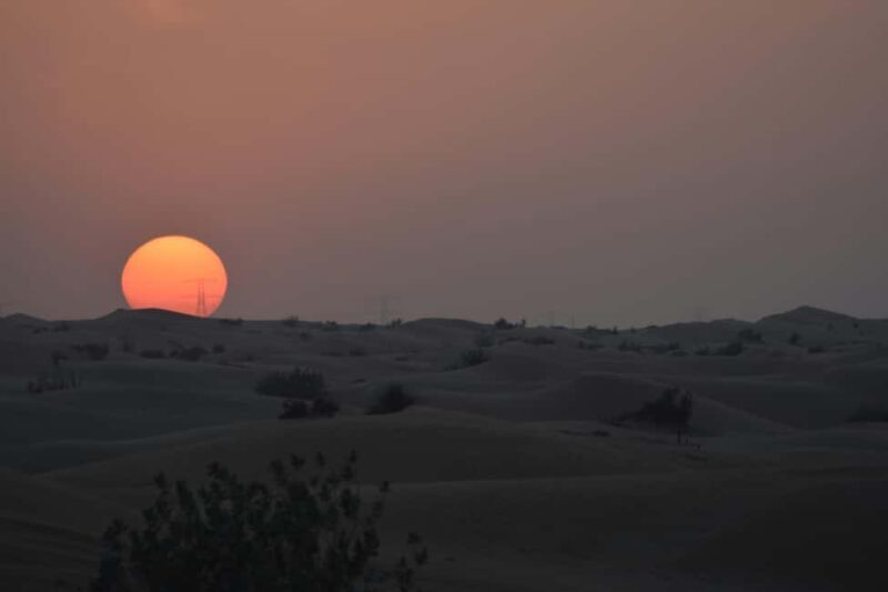 Doha: Night Desert Safari with Camel Ride and Sandboarding - What to Expect from the Night Desert Safari