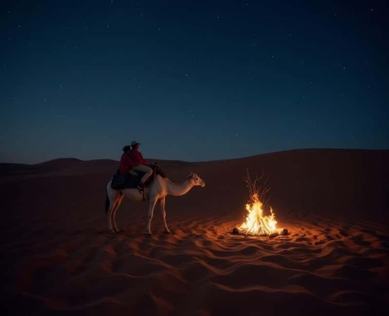 Doha : Night Desert Safari with Dune Bashing & Stargazing - Key Points
