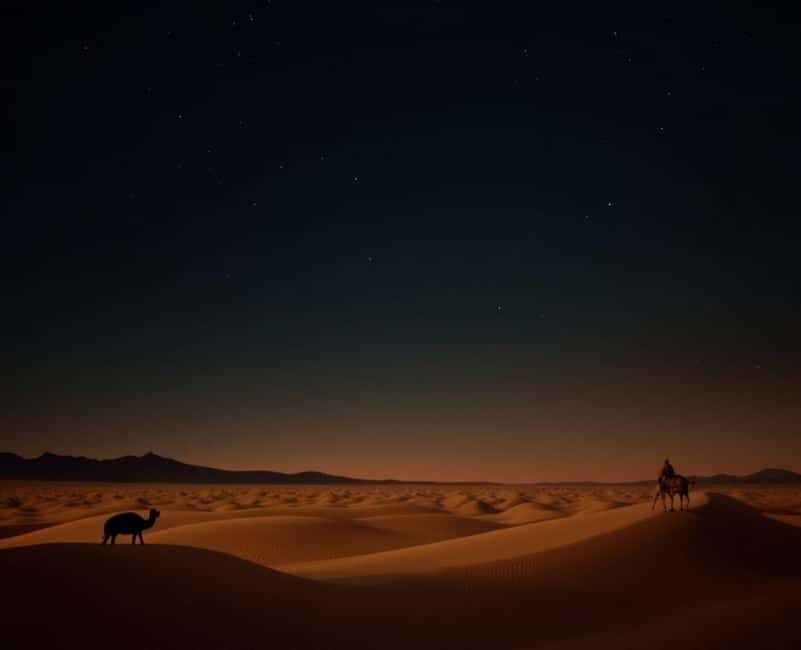 Doha : Night Desert Safari with Dune Bashing & Stargazing - Why This Tour Offers Real Value