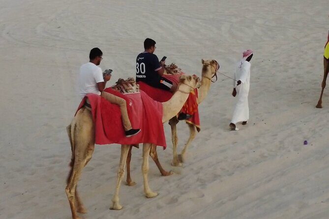 Doha-Night Desert Safari with Sand Board and Camel Ride - The Camel Ride and Scenic Highlights