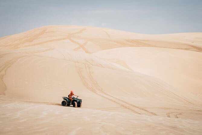 Doha-Night Desert Safari with Sand Board and Camel Ride - Reviews and Authentic Perspectives