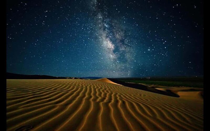 Doha: Night Safari with Dune Bashing and Camel Ride - An In-Depth Look at the Desert Night Safari