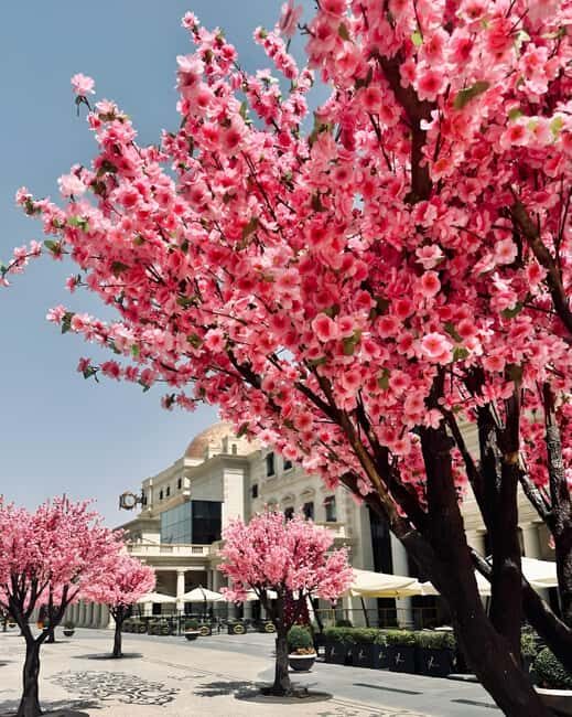 Doha: Only in Summer Outdoor Air-Conditioned Streets Tour - Key Points