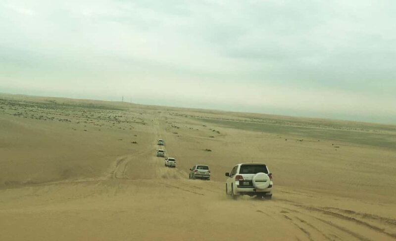 Doha: Private City and Desert Safari (Combo Tour Plan) - What Makes This Tour Stand Out?