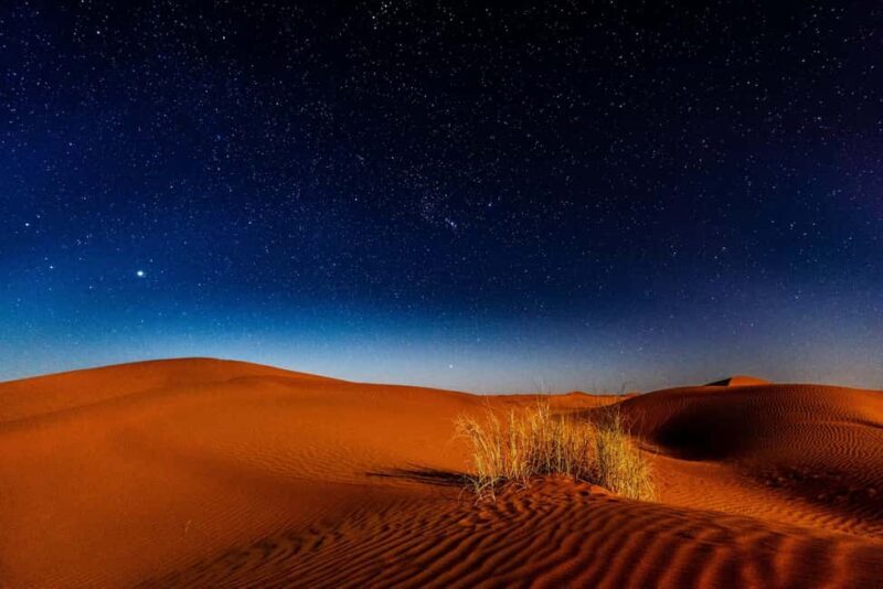 Doha: Private Desert Safari at Night with Stargazing - Key Points
