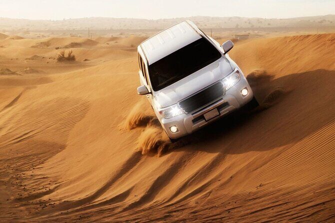 Doha: Private Half Day Desert Safari Tour in Qatar - Transportation, Timing, and Group Size