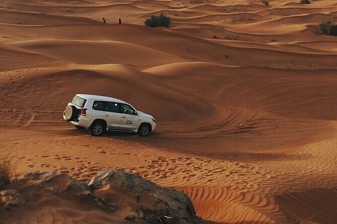 Doha Private Half-Day Guided Desert Safari Tour - An Authentic Taste of the Qatar Desert