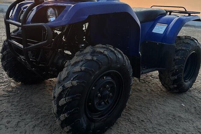 Doha-Private Half Day Safari Camel Ride and Sandboard included - An In-Depth Look at the Tour