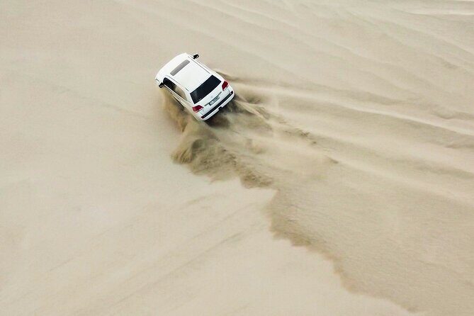 Doha-Private half day safari Sunrise/Sunset - A Closer Look at the Experience