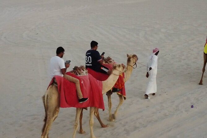 Doha-Private half day safari Sunrise/Sunset - Final Thoughts: Is It Worth It?