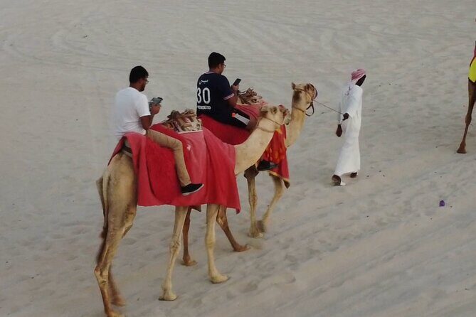 Doha-Private Half Day Safari with Horse Ride/Camel Ride/sandboard - An Honest Breakdown of the Tour Experience